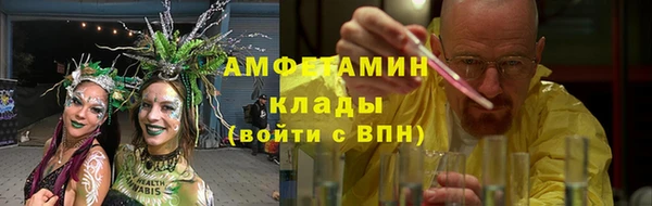 прущие грибы Алзамай