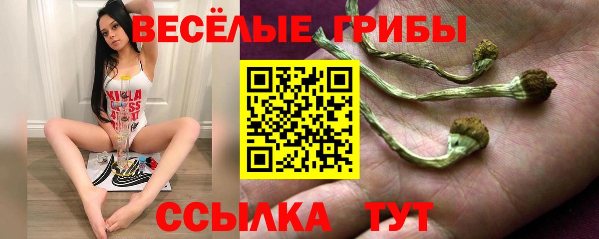 Шебекино  Галлюциногенные грибы GOLDEN TEACHER  Вход с VPN  Псилоцибиновые грибы Magic Shrooms 