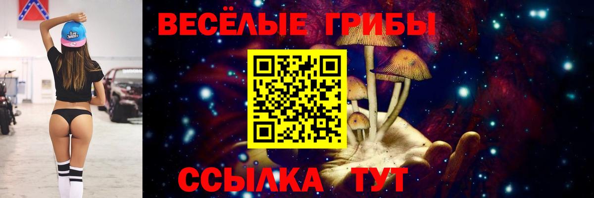 Псилоцибиновые грибы мухоморы Шебекино